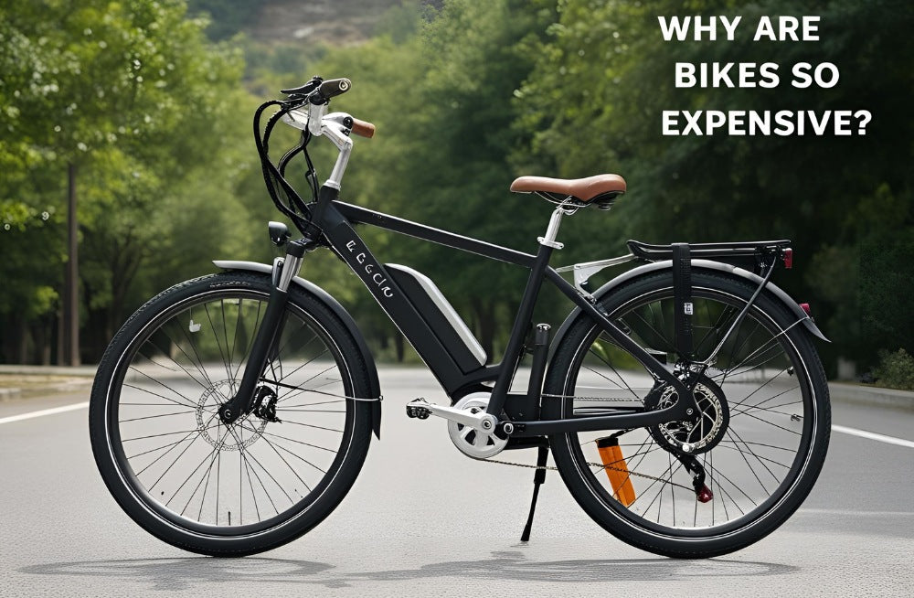 Why are Electric Bikes So Expensive?