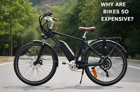 Why are Electric Bikes So Expensive?