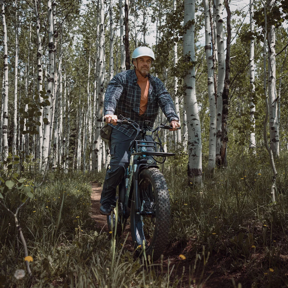 ALPINE All-terrain Electric Mountain Bike 26" 40KPH | 105KM Range (🔥 Limited Stock )