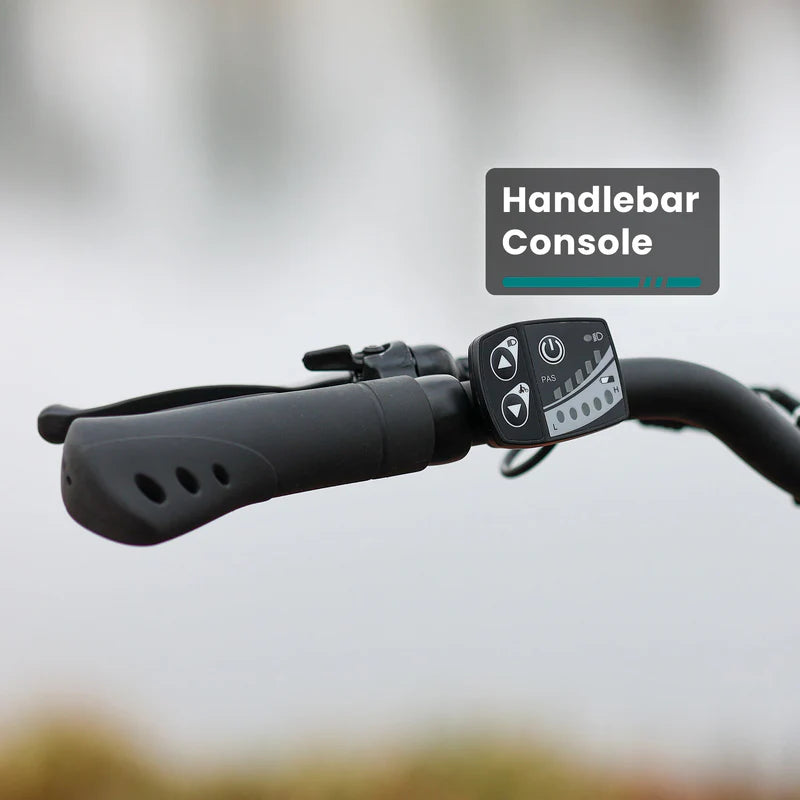 Porter Electric Cargo Bike with Free Accessories(Rear&Front Rack, Child Seat)