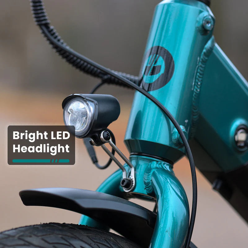 Porter Electric Cargo Bike with Free Accessories(Rear&Front Rack, Child Seat)