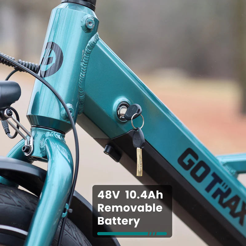 Porter Electric Cargo Bike with Free Accessories(Rear&Front Rack, Child Seat)