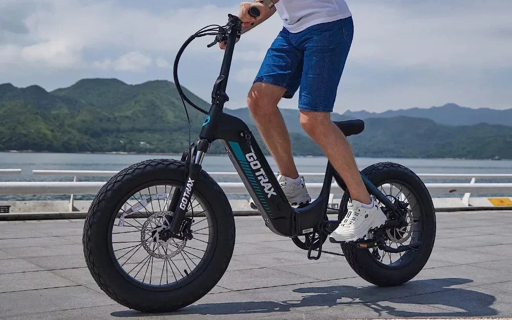 Best Fat Tire Electric Bikes 2025