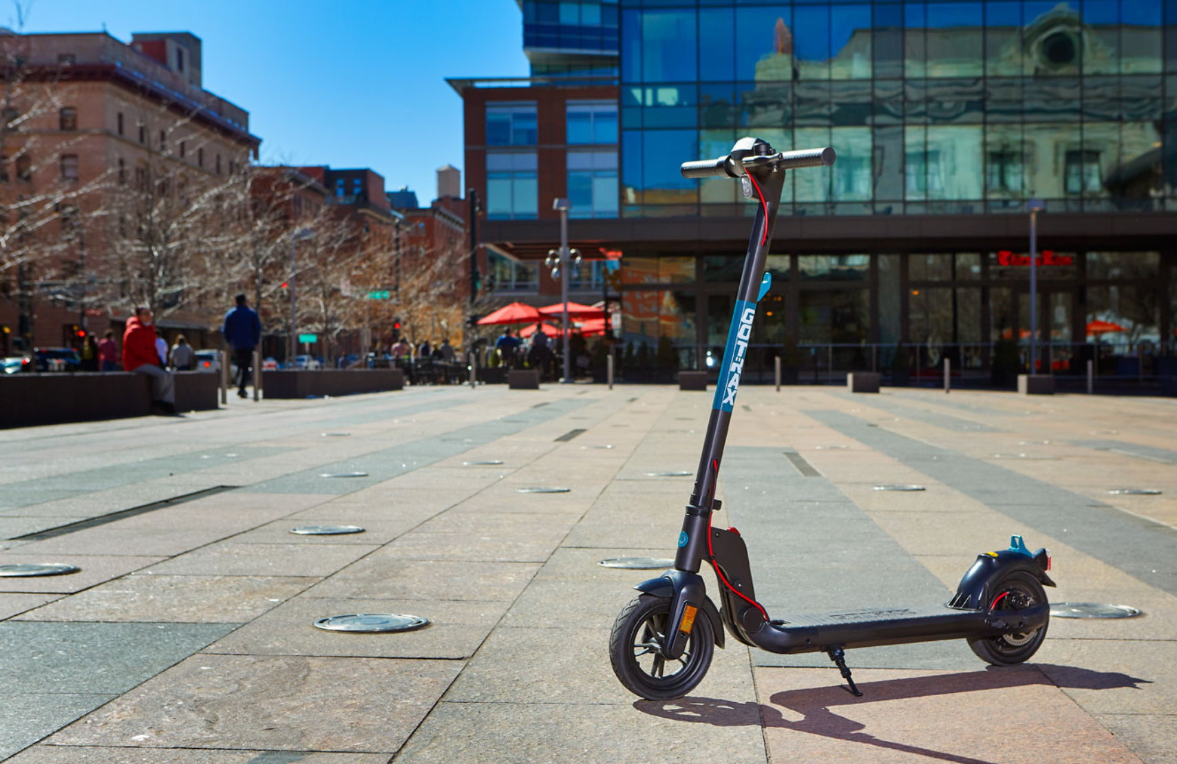 Electric Scooter Price: Average Cost and Buying Guide
