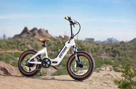 F5 Foldable Commute E-Bike