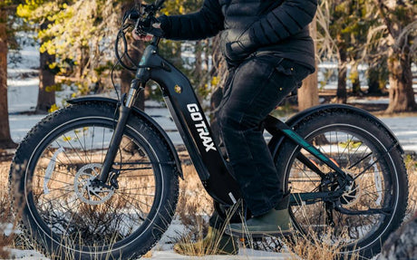 Long Range Ebikes