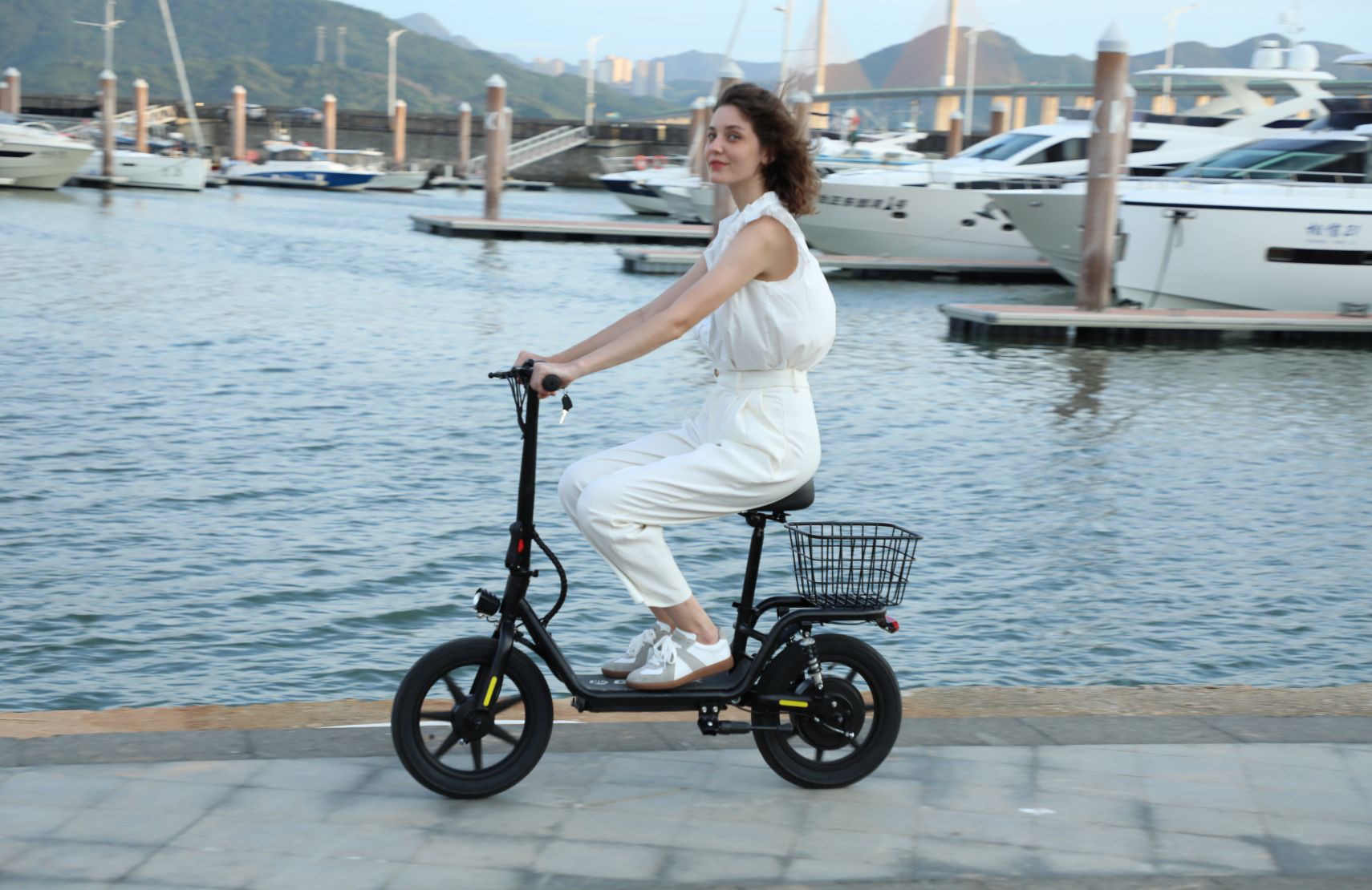 Flex Series Electric Scooter with Seat 14