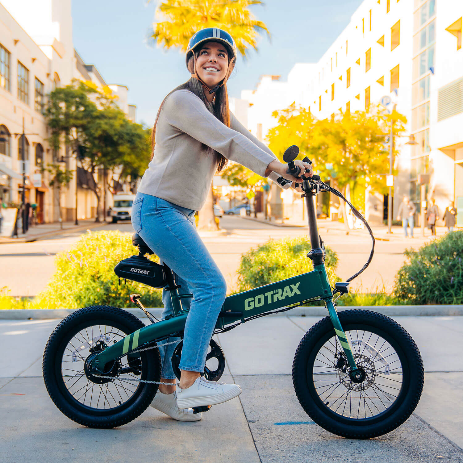Bicycle GRID 2.0 & 3.0 新品未開封 レアデック F1V2 Folding Electric Bike 20*2.6