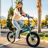 F1V2 Folding Electric Bike 20*2.6" 32KPH | 64KM Range (🔥Ultimate Sale)